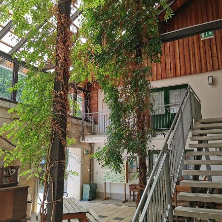Landhotel Schaferhof Langenstein Εξωτερικό φωτογραφία